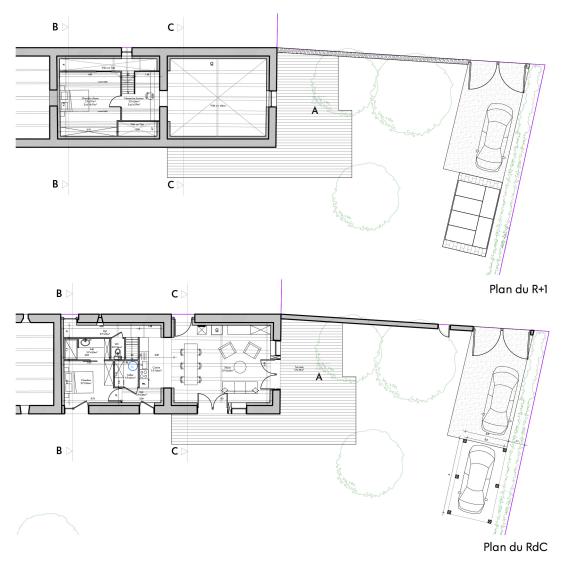 Plans de la rénovation