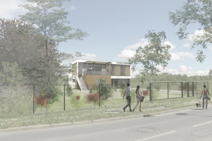 Perspective projet