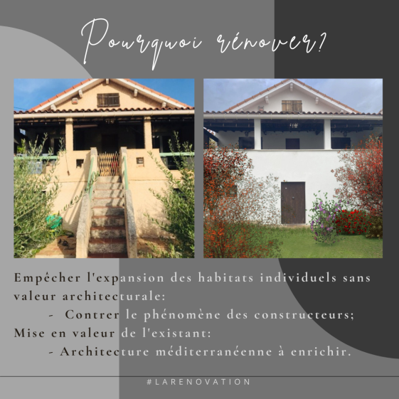 larenovation.png