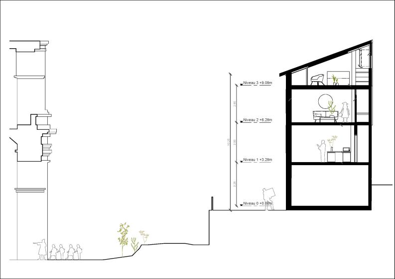 Plan de Coupe - Relation aux Arènes