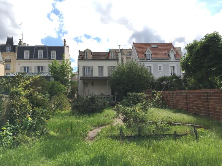 fond_jardin_lointain.jpg