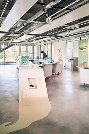 Vue de l'entrée de la salle d'exposition - " La naissance du verre "