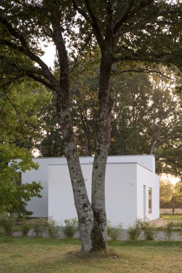 La Maison autour de l'arbre