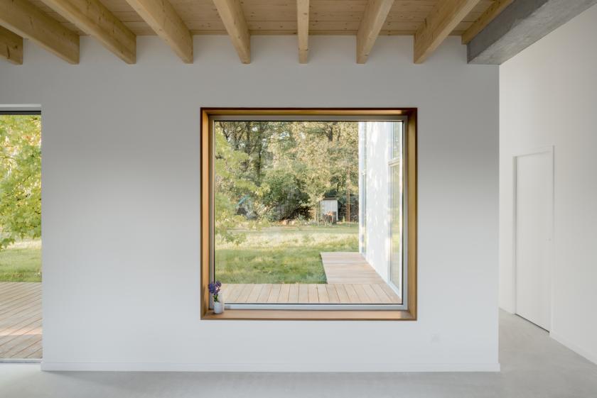 La Maison autour de l'arbre