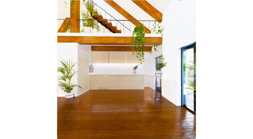 combles_studio_echo_architecture_01-.jpg