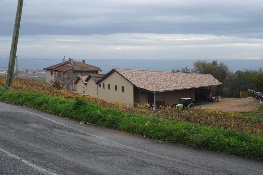 Le chai vu depuis la route de Fleurie à Chénas