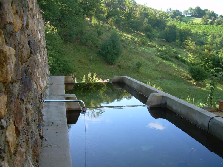 dscn1537.jpg