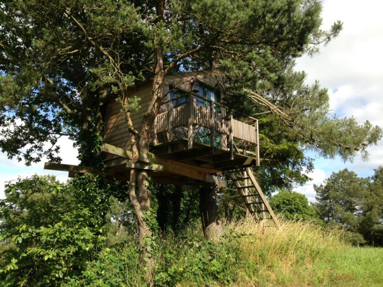 cabane_perchee_0.jpg