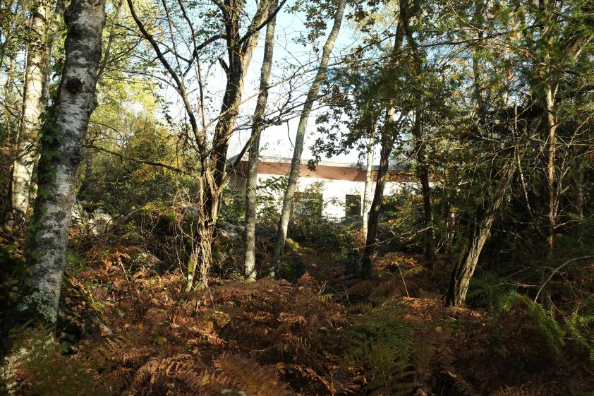 Rénovation de maison dans la forêt de fontainebleau