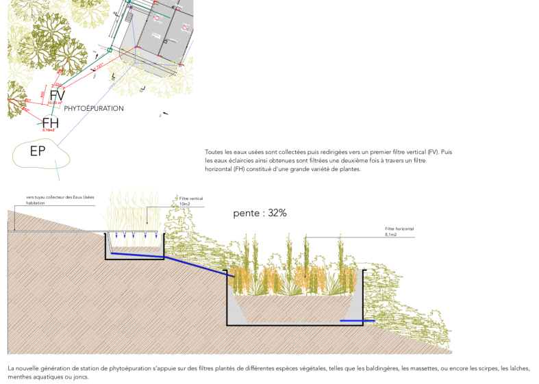 viannenc-architecte_transformation-habitat-individuel_ferrieres_phyto-epuration.