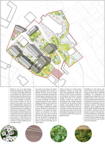 matzenheim_plan_masse.jpg