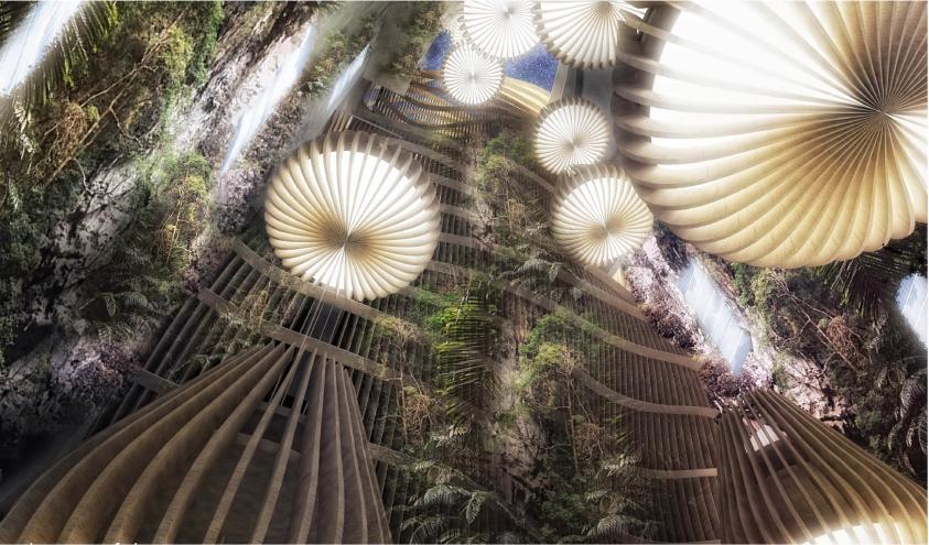 Perspective, vue de l'oasis