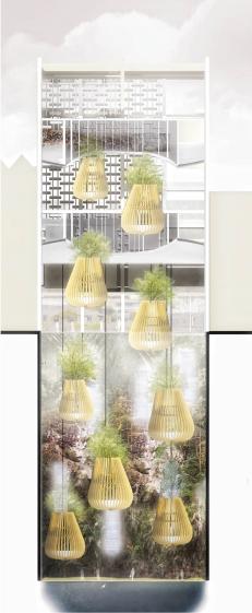 Coupe sur le projet 