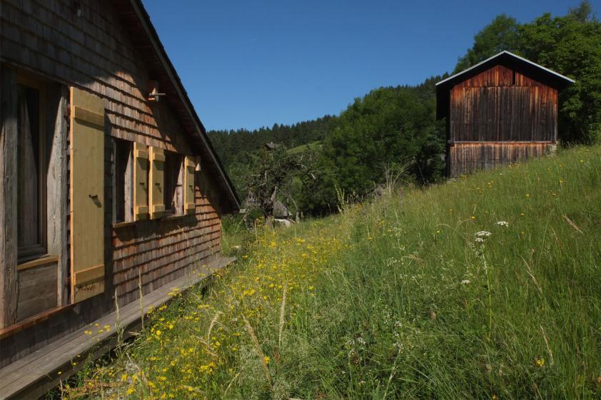 018_montpellaz-image03.jpg