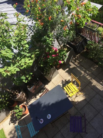 abbr-architectes-renovation-extension-paris-terrasse-8520.jpg
