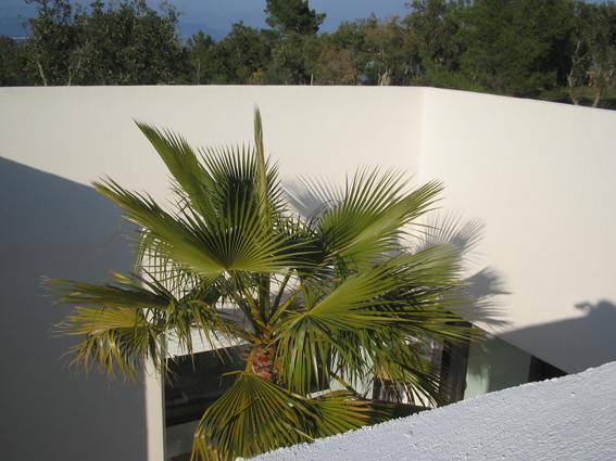 visitez www.fkordus.com