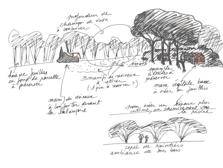 01_-_croquis_d_intentions.jpg