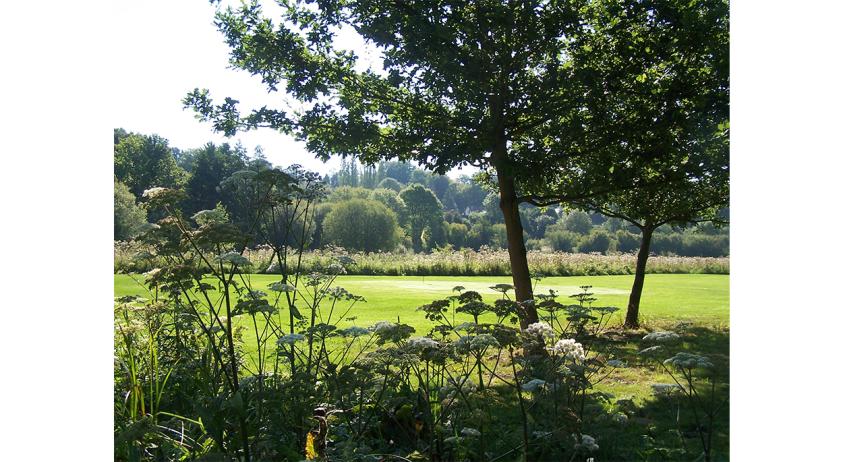 1ere_photo_site.jpg