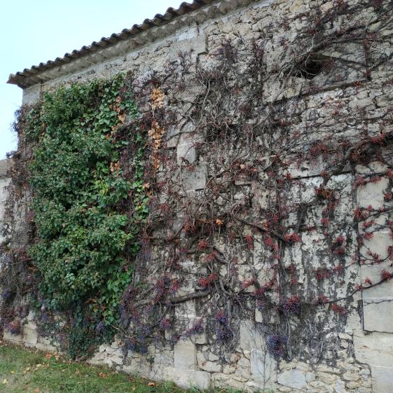 lsarchitecture_agencement_renovation_landes_pays_basques_tuillac_4.jpg