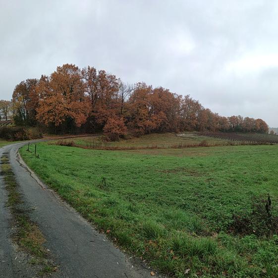 lsarchitecture_agencement_renovation_landes_pays_basques_gar_photo_edl_2.jpg