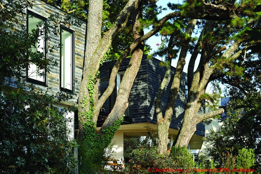 maison_arradon_fabienne_costel_8596.jpg