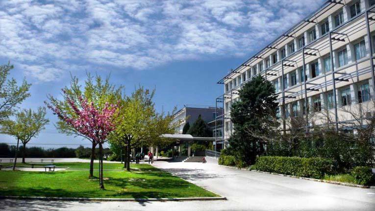 lycee_lurcat.jpg