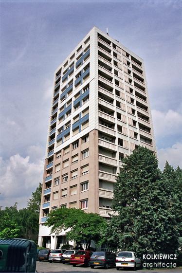Élisée Châtin à Grenoble