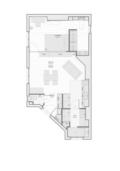 renovation-appartement-laumiere-paris-plan-projet.jpg