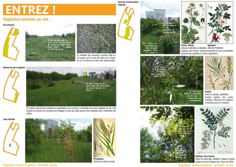 20180423_ellsa_communiqueintention7-complet-10.jpg