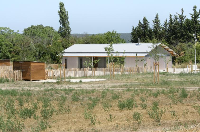 05.jpg