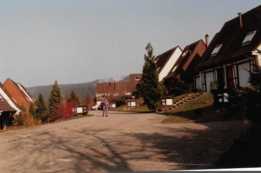 lembach_009.jpg