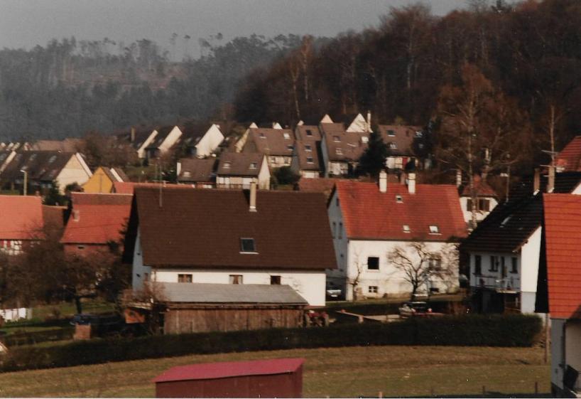 lembach_011.jpg