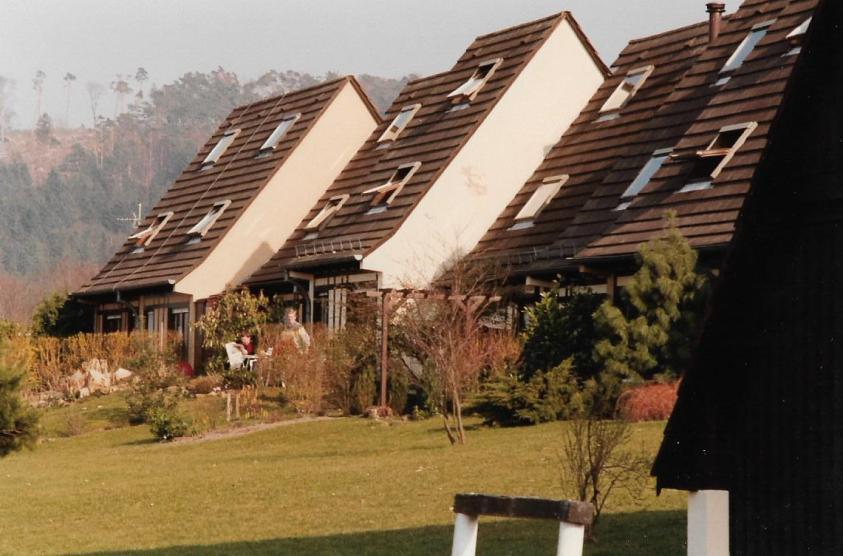 lembach_013.jpg