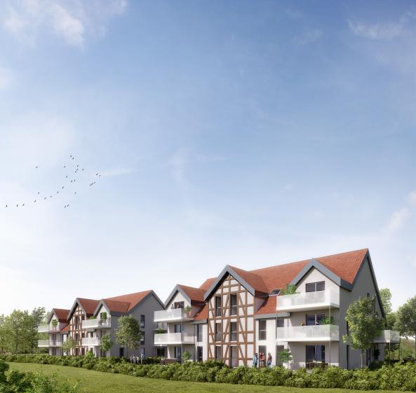 vue_dingsheim_01.jpg