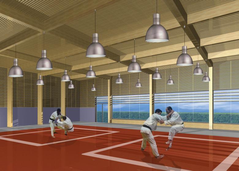 Vue du Dojo