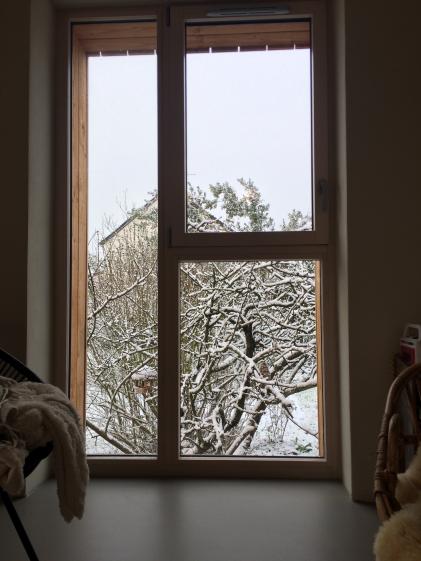 une pièce de vie dans les arbres