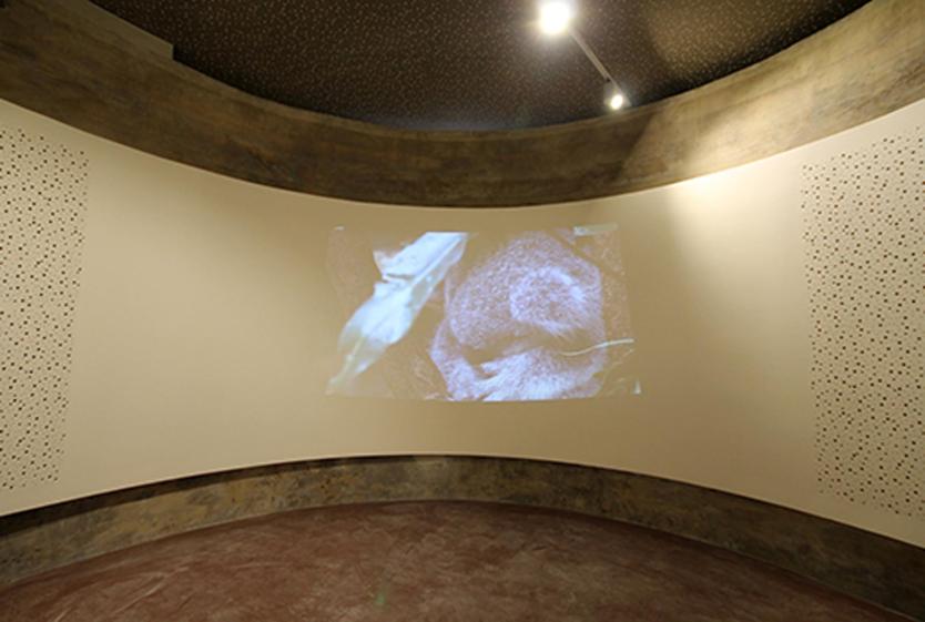 Salle de projection 02