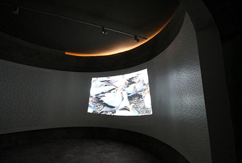 Salle de projection 03