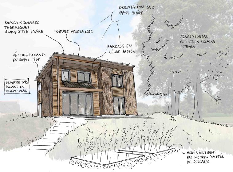 une_maison_de_rozo_parti_architectural.jpg