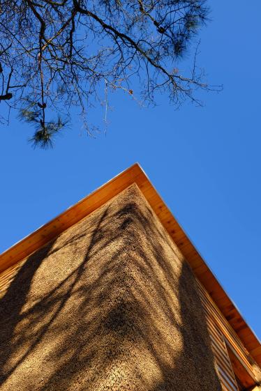une_maison_de_rozo_veture_roseau_w.jpg