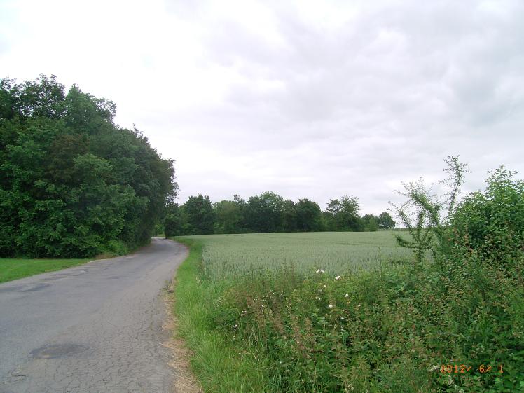 terrain.jpg