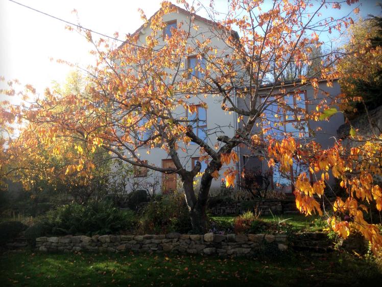 jardin_automne.jpg