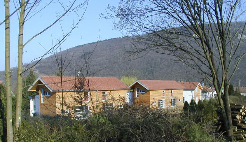 8997272_orig.jpg