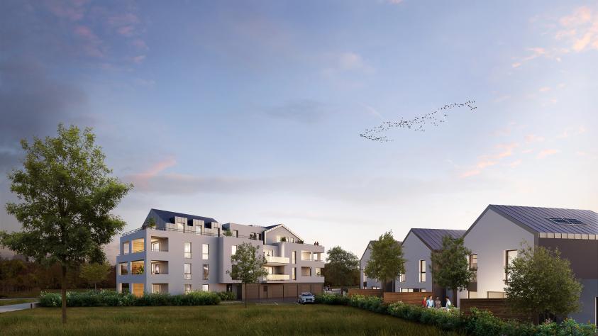 apropria_logements_gambsheim_-_nuit_-_07.jpg