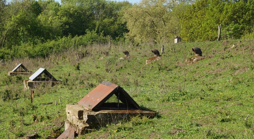Etat existant des cheminées et des puits de lumière de la casemate