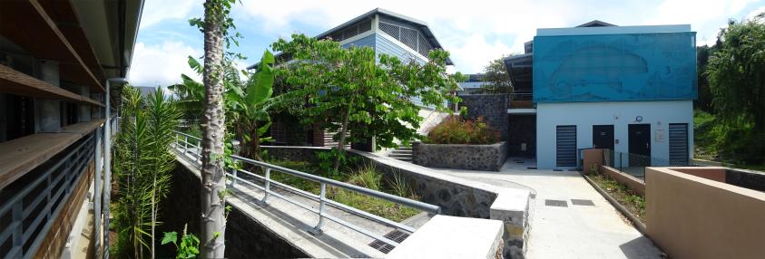 cour intermédiaire et administration