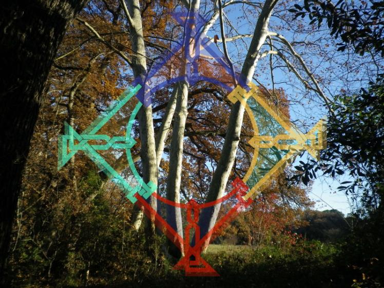 Photo de nature et entrelacs coloré pour dynamiser un espace de création 