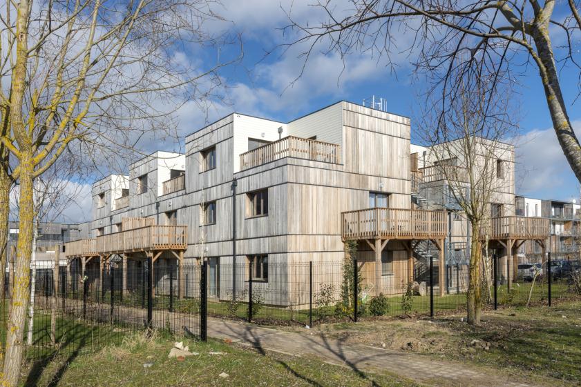 les_cedres_de_claudel_02.jpg