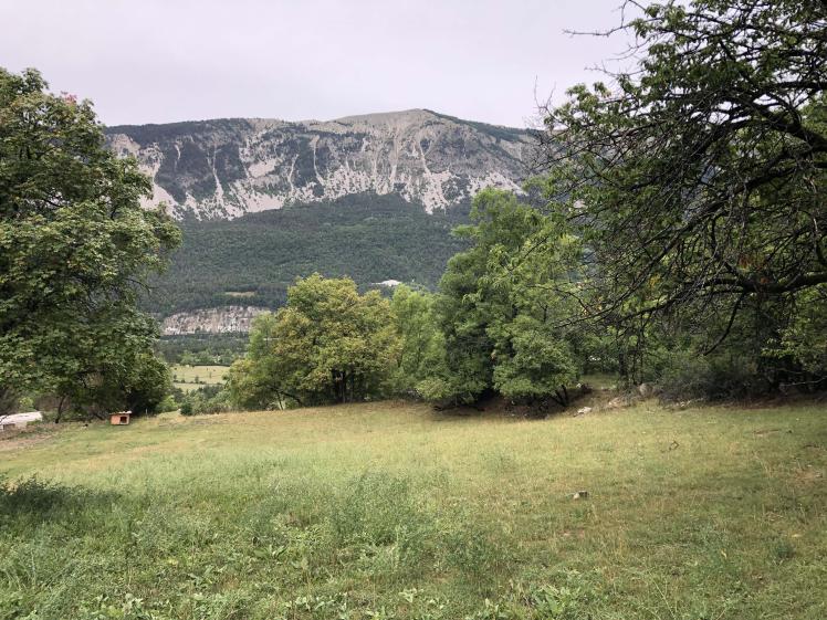 Terrain du projet