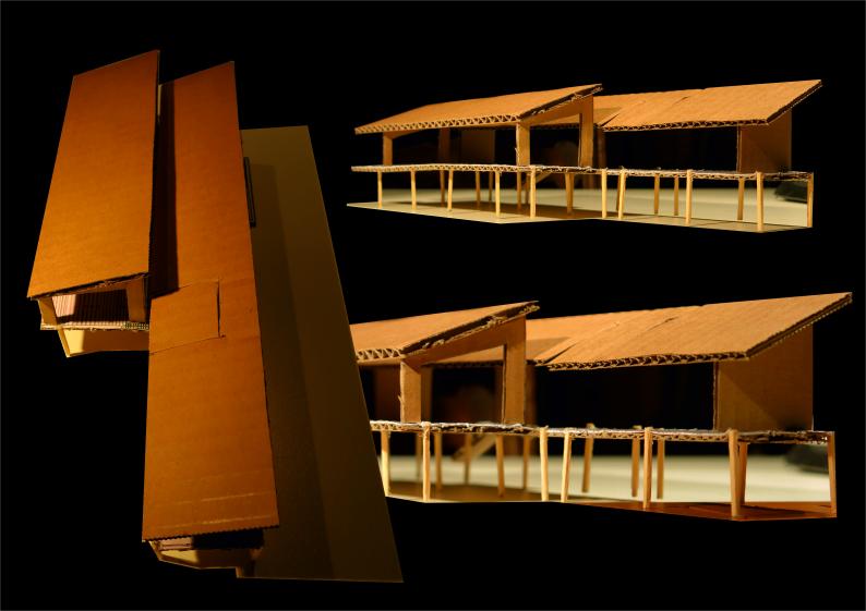 PROJET D'UNE MAISON SUR PILOTIS À ARLES